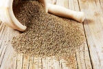 Ajwain latest, Ajwain India, benefits of adding carom seeds to your diet, Kal