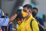 coronavirus, UAE, csk indian player 11 support staff test positive for covid 19, Ipl 2020