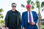 Elon Musk news, Donald Trump about Elon Musk, donald trump finally addresses rumors about elon musk, Dresses