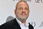 British Film Institute, Harvey Weinstein, uk probe into harvey weinstein s sexual assaults widens with seven women, Westminster