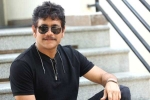 Nagarjuna Akhil movie, Annapurna Studios, nagarjuna s 100th film locked, Akhil movie