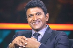 Puneeth Rajkumar breaking news, Puneeth Rajkumar breaking news, kannada actor puneeth rajkumar is no more, Kannada actor