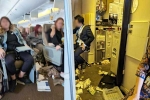 Singapore Airlines turbulence horror news, Singapore Airlines accident, one dead and 30 injured in singapore airlines turbulence horror, Singapore airlines