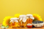 Sunflower Oil for heart, Sunflower Oil for heart, long term effects of consuming sunflower oil on heart health, Ipl 8