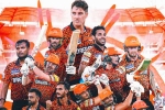 Sunrisers Hyderabad highlights, Sunrisers Hyderabad points, sunrisers hyderabad qualified for ipl playoffs, Srh