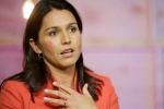 tulsi gabbard apologizes, gabbard, tulsi gabbard apologizes for her past statement on lgbtq, Gay right