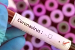 Vaccine for coronavirus, Vaccine for coronavirus, who warns covid 19 may never go away then what s the future of the world, Trade deal