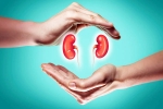 World Kidney Day 2025 breaking, World Kidney Day 2025, world kidney day 2025 theme and health tips, Fruits