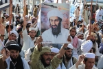 Bin Laden operations, Al-Qaeda, bin laden continues to mobilize jihadists ten years after his death, Jihadists